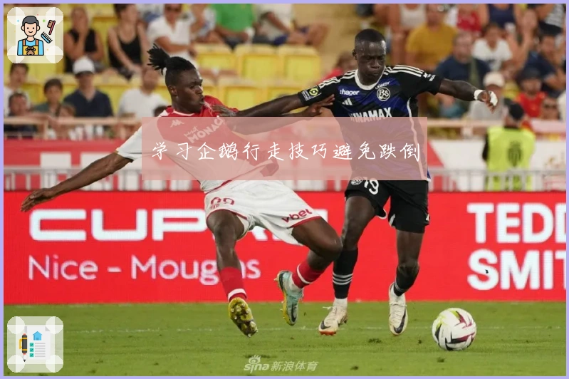 学习企鹅行走技巧避免跌倒