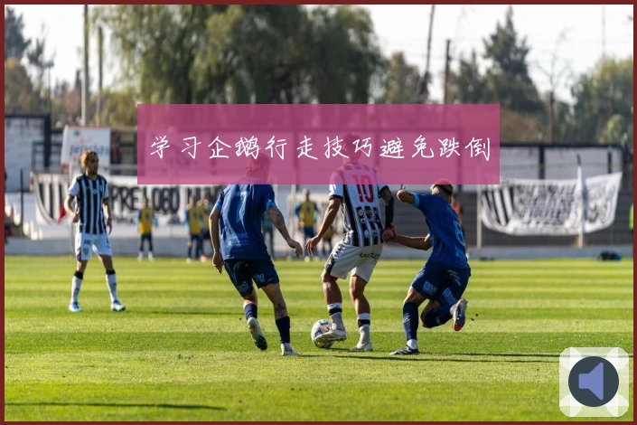 学习企鹅行走技巧避免跌倒